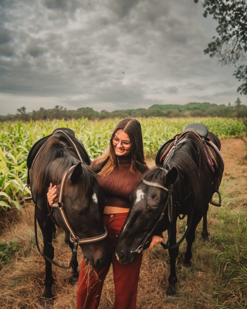 photo cheval rennes